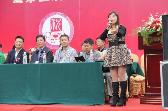民歌表演